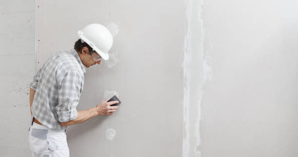 Best Drywall Patching  in Anderson, IN